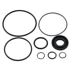 ACDelco® 36-348732 - Professional™ Power Steering Pump Seal Kit