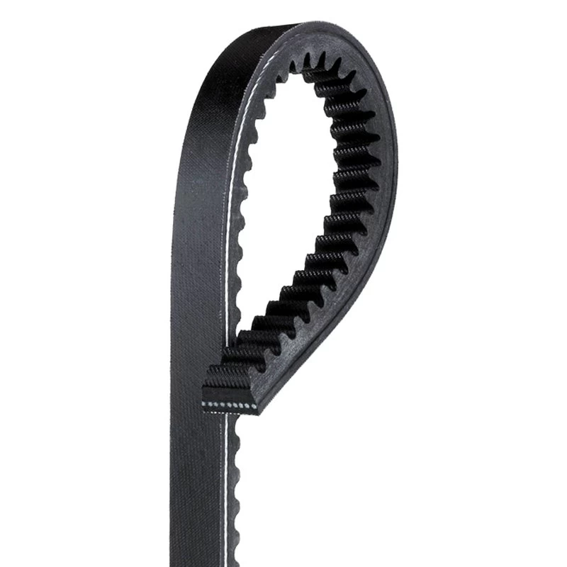 Gates® TR24515 - Truck Belt